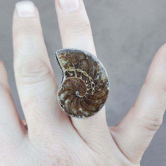 New Fossil Ammonite Silver Statement Ring. - Picture 10 of 16